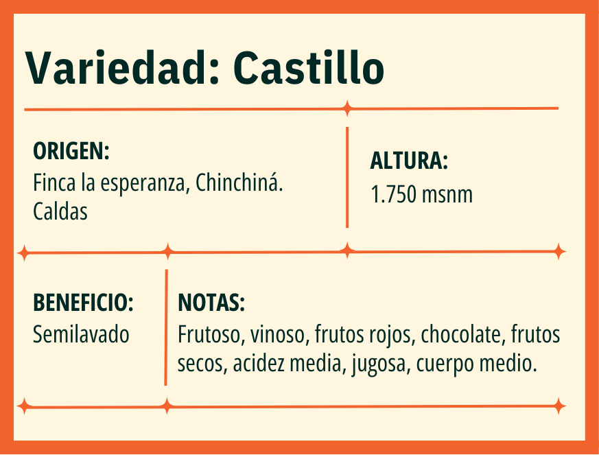 Castillo Soliloquio Coffee